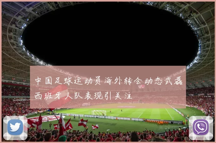 中国足球运动员海外转会动态武磊西班牙人队表现引关注