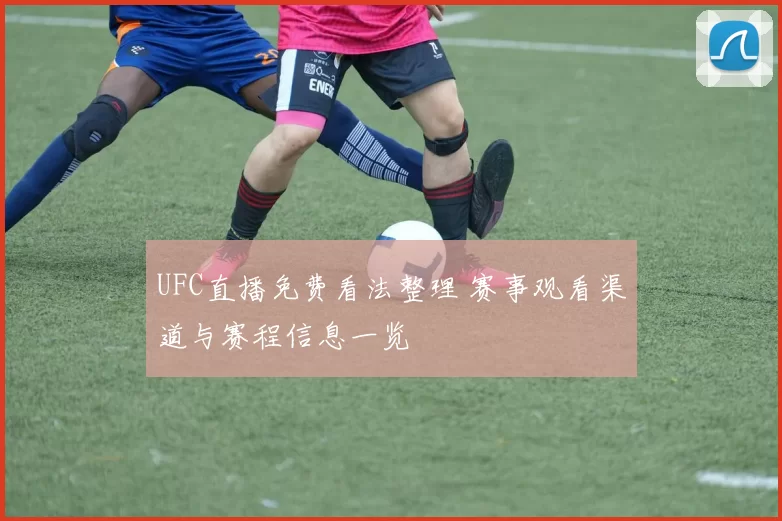 UFC直播免费看法整理 赛事观看渠道与赛程信息一览