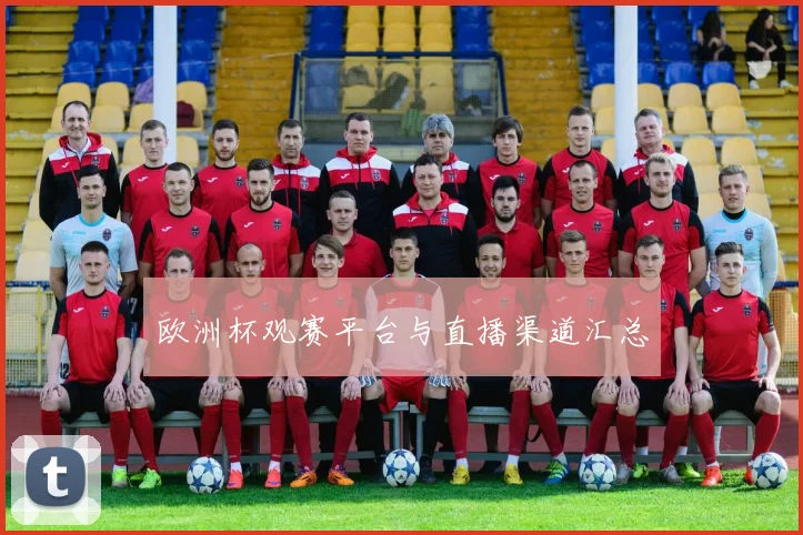 欧洲杯观赛平台与直播渠道汇总