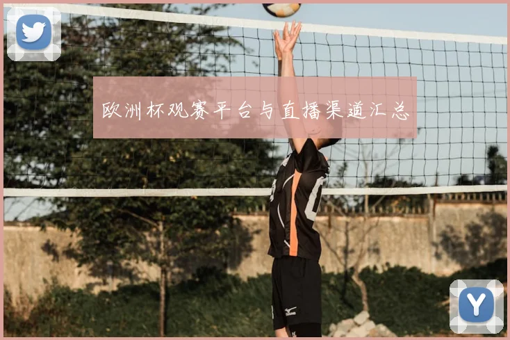 欧洲杯观赛平台与直播渠道汇总