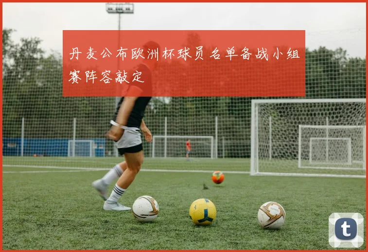 丹麦公布欧洲杯球员名单备战小组赛阵容敲定