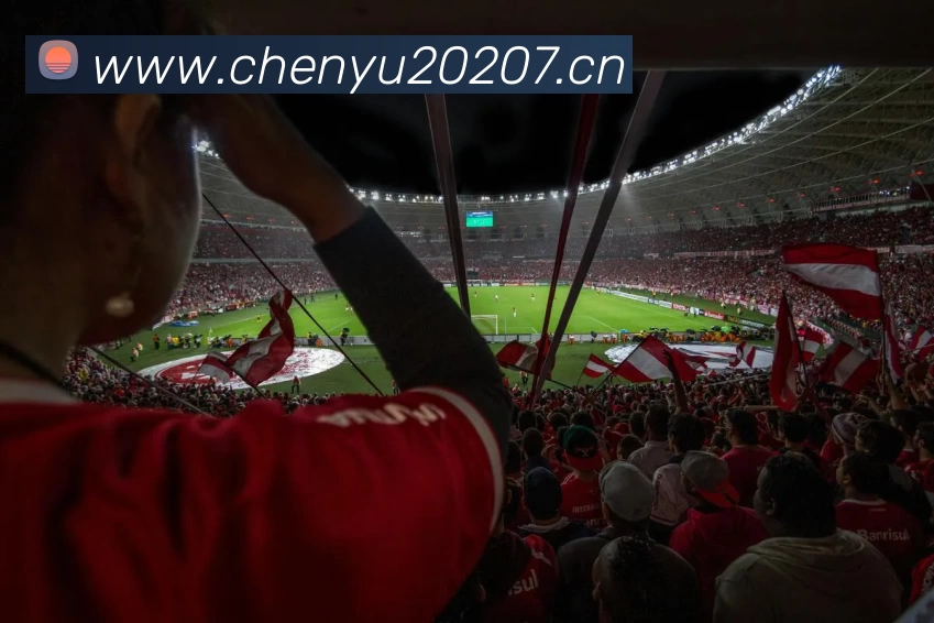 多媒体互动体验